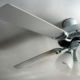 Ceiling Fan