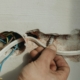 Short Circuit
